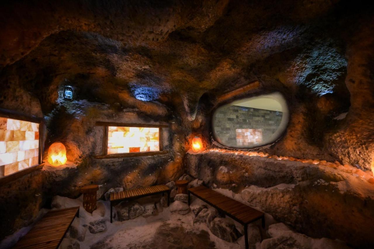 Hotel Yara Vişeu de Sus Extérieur photo