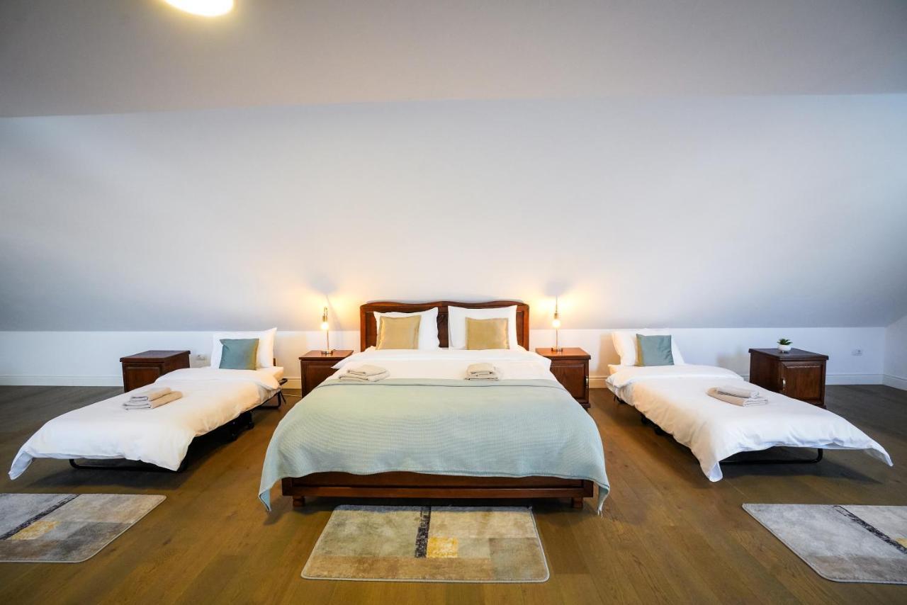 Hotel Yara Vişeu de Sus Extérieur photo